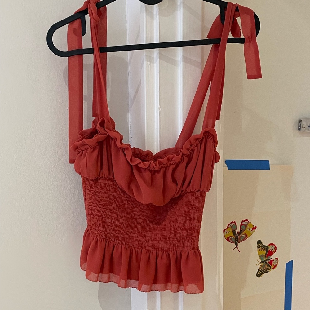 Wilfred Terracotta Crop Top